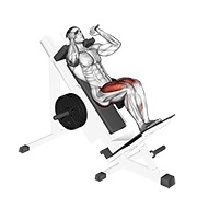 Sled closer hack sentadilla