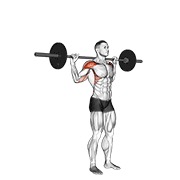 De pie behind neck press