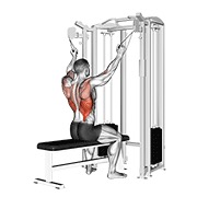 Twin handle parallel grip jalón al pecho