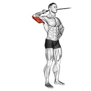 Side triceps extensión con banda