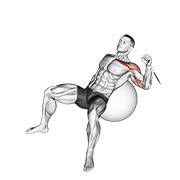 One arm inclinado press on exercise ball en polea