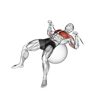 Press on exercise ball en polea