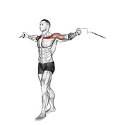 Upper chest crossovers en polea