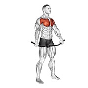 Chest and frontal of shoulder stretch