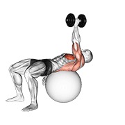 One arm pullover on exercise ball con mancuerna