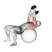 Pullover hip extensión on exercise ball con mancuerna
