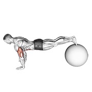 Exercise ball pike flexión