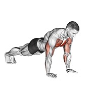 Plyo flexión