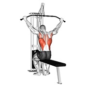 Wide grip posterior jalón behind neck en polea