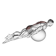 Exercise ball back extensión with knees off ground