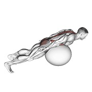 Exercise ball back extensión with rotation