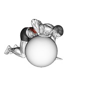 Exercise ball lat stretch