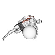 Exercise ball tumbado side lat stretch