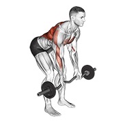 Ez bar inverso grip bent over remo