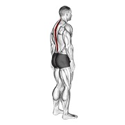 De pie pelvic tilt