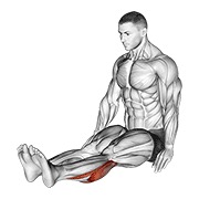 Sentado calf stretch (male)