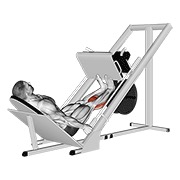 Sled calf press on prensa de piernas
