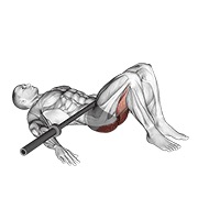 Glute bridge con barra