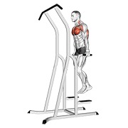 Chest fondo (on dip-pull-up cage)