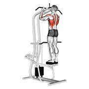 Asistido de pie chin-up
