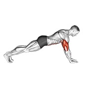 Flexión on lower arms