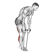 De pie hamstring and calf stretch with strap