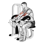 De palanca hammer grip preacher curl