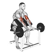 Ez con barra close grip preacher curl