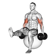 Curl de bíceps on exercise ball with leg raised con mancuerna