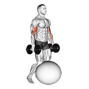 Kneeling curl de bíceps exercise ball con mancuerna