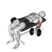 Tumbado supine curl de bíceps con mancuerna