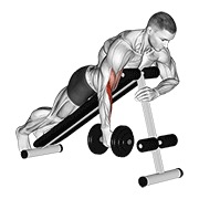 One arm prone hammer curl con mancuerna