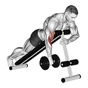One arm inverso spider curl con mancuerna