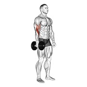 One arm de pie hammer curl con mancuerna
