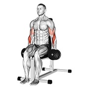 Sentado hammer curl con mancuerna