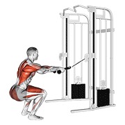Sentadilla remo (with rope attachment) en polea