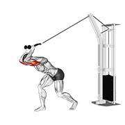 High pulley sobre la cabeza extensión de tríceps en polea