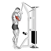 One arm tricep pushdown en polea