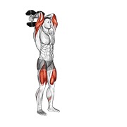 Forward zancada triceps extensión con mancuerna