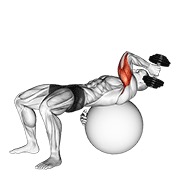 One arm french press on exercise ball con mancuerna
