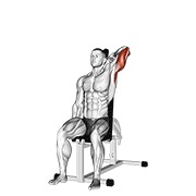 Sentado inverso grip one arm sobre la cabeza extensión de tríceps con mancuerna