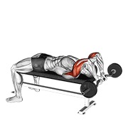 Ez bar tumbado close grip triceps extensión behind head