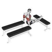 Three bench fondo