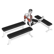 Con lastre three bench dips