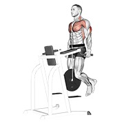 Con lastre tricep dips