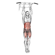 Hanging oblique knee elevación