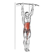 Hanging leg hip elevación
