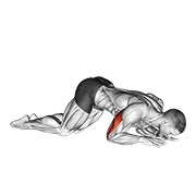 Bodyweight kneeling triceps extensión