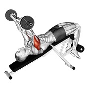 Ez con barra declinado triceps extensión