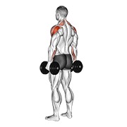 Posterior delt elevación con mancuerna
